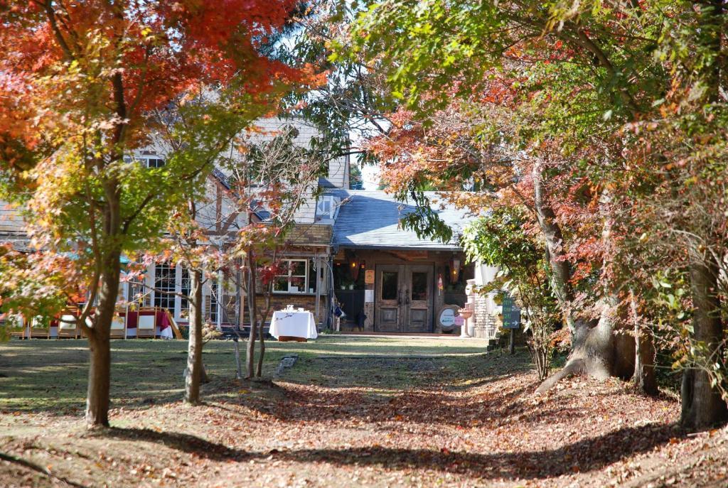 Minami Aso Luna Observatory Auberge Mori no Atelier Minamiaso Eksteriør billede