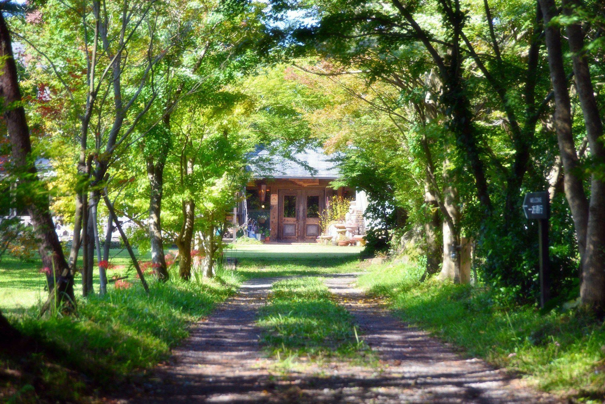 Minami Aso Luna Observatory Auberge Mori no Atelier Minamiaso Eksteriør billede